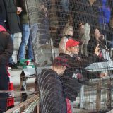 EfB - FCM 21 oktober 2019 (138/170)